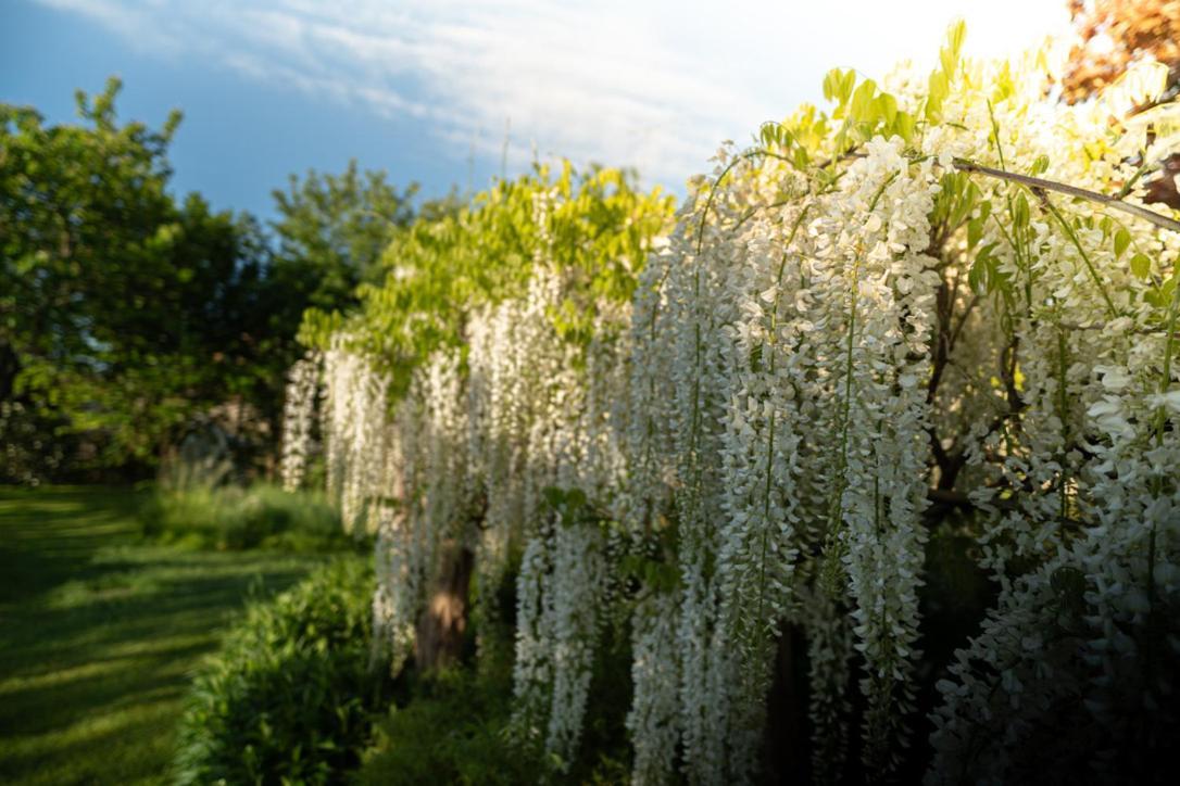 Les Jardins Des Soussilanges Bed & Breakfast Ceron Exterior photo